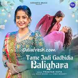 Tame Jadi Gadhi Dia Mo Pain Balighara